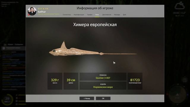 РР4 Комариное ищу язя.