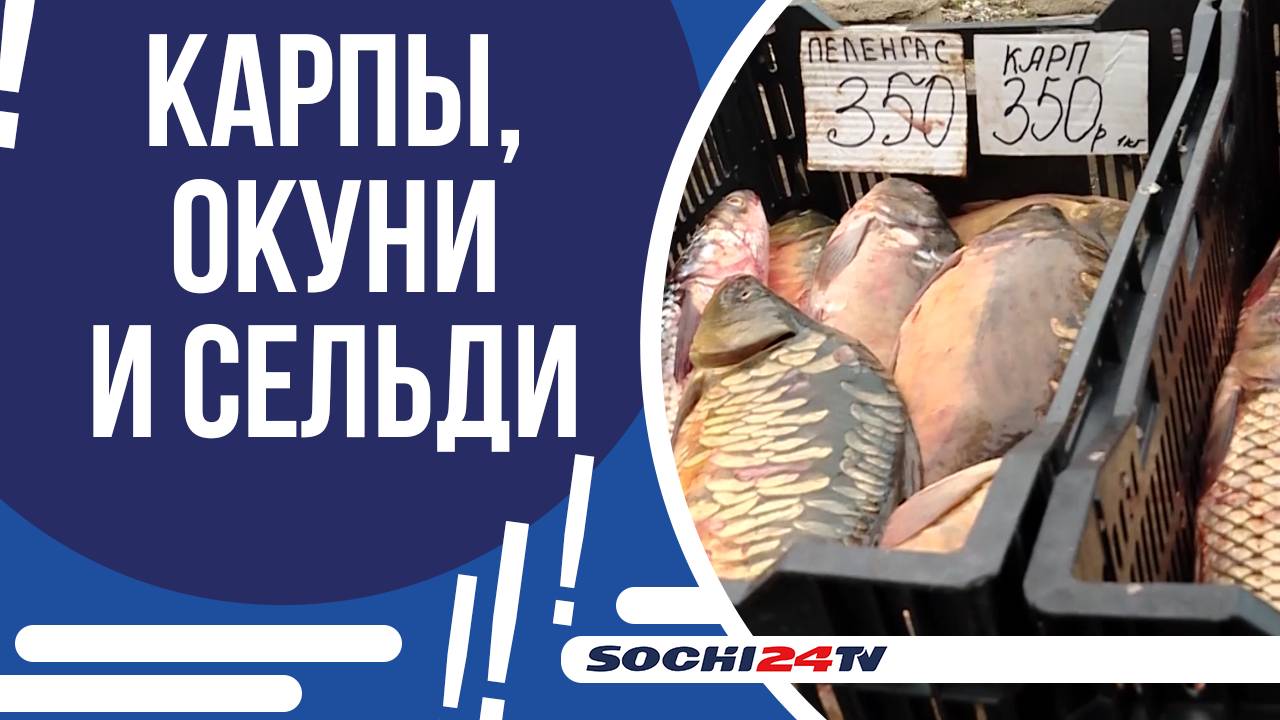 НЕЗАКОННАЯ ТОРГОВЛЯ ВОДНО-БИОЛОГИЧЕСКИМИ РЕСУРСАМИ!