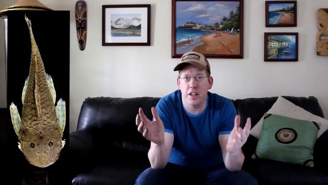 10 Crazy Catfish You Can't Unsee смотреть онлайн