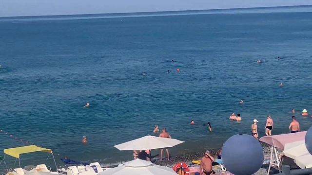 Лазаревское,Сочи, 8 утра 16 июля 2024 ,прекрасная погода,теплое море,на пляже уже многолюдно смотреть онлайн