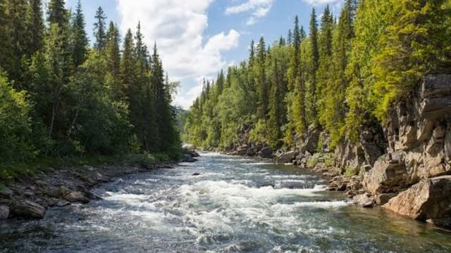 Class 8 Sanskrit Krishaka| (କୃଷକଃ)|Krushakah |Odia Medium By #Nm Education#Sanskrit #Class 8 #Odia смотреть онлайн