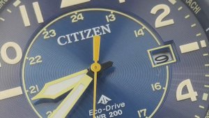 citizen ястреб пилот