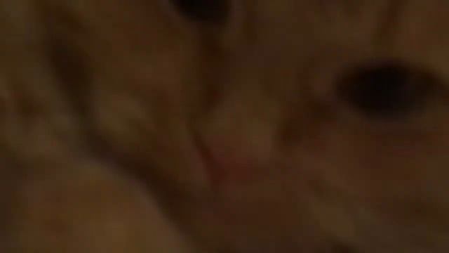 ЯЗЫЧОК^^ СМОТРЕТЬ ВСЕМ МИЛОСТИ ТО КАКИЕ^^^^^ смотреть онлайн