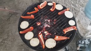 Гриль барбекю