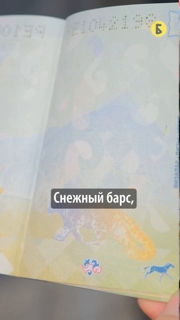 Самый красивый паспорт #бишкек #паспорт #кыргызстан #путешествие