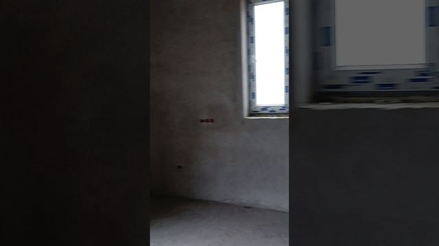VID20250205133302