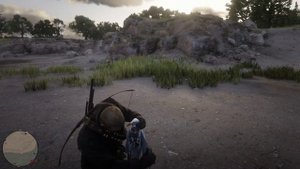 Серебристая чайка (silver gull) Red Dead Redemption 2