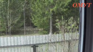 282. ПТИЧКИ - ВЕСТОЧКИ...