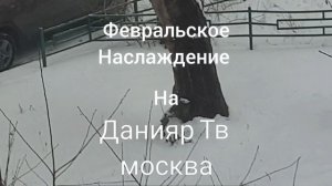 региональные заставки данияр тв 02-28.02.2025 01-28.02.2026