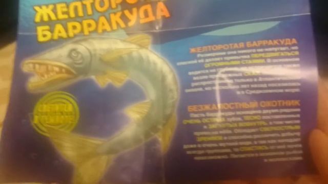 Акулы макси смотреть онлайн