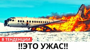 Душераздирающая история самолета, исчезнувшего с 257 людьми над Антарктидой