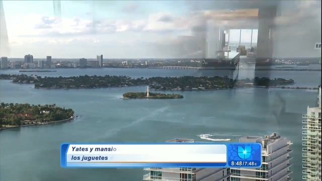 Dora Puig en Despierta America смотреть онлайн