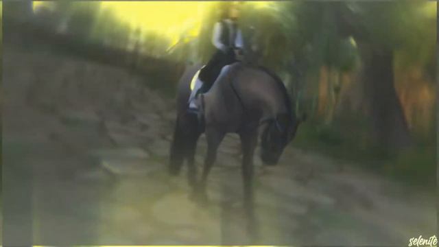 why'd you only call me when you're high? // SSO MV смотреть онлайн