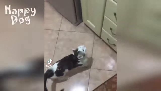 Забавные животные / ПРИКОЛЫ #1 смотреть онлайн