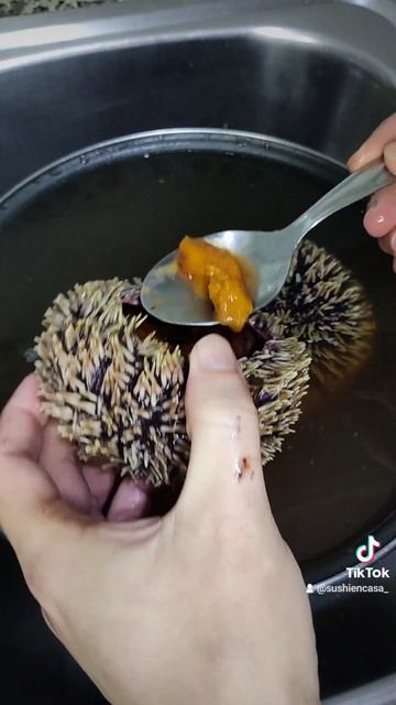 𝔾𝕌ℕ𝕂𝔸ℕ 𝔻𝔼 ℍ𝕌𝔼𝕍𝔸𝕊 𝔻𝔼 𝔼ℝ𝕀ℤ𝕆 ℂ𝕆ℕ ℍ𝕌𝔼𝕍𝔸𝕊 𝔻𝔼 𝕊𝔸𝕃𝕄𝕆ℕ смотреть онлайн