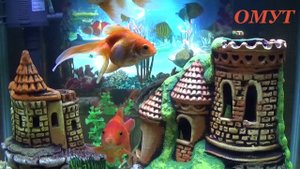 233. ЧТО МОЖНО ДАРИТЬ ? А ЧТО КАТЕГОРИЧЕСКИ НЕЛЬЗЯ...