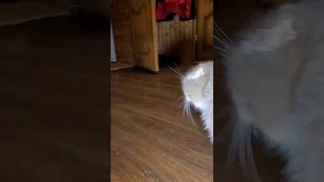 Утренние звуки смотреть онлайн