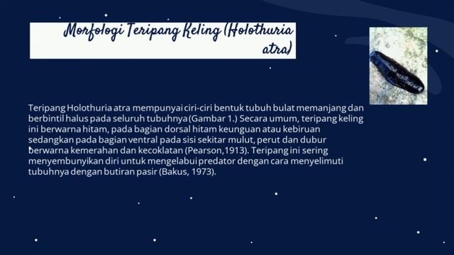 Potensi Bahan Obat Kelautan Teripang Keling (Holothuria Atra) смотреть онлайн