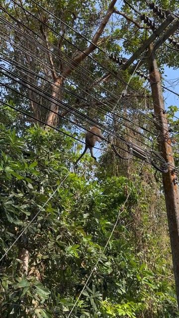 Неожиданная встреча с предком😎 смотреть онлайн