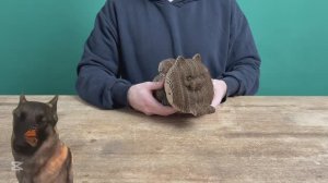 Сборка модели Шпиц