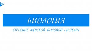 8 класс - Биология - Строение женской половой системы