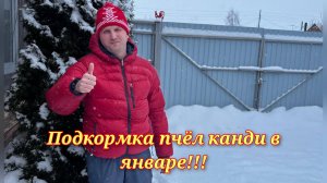 Подкормка пчёл канди в январе!!!