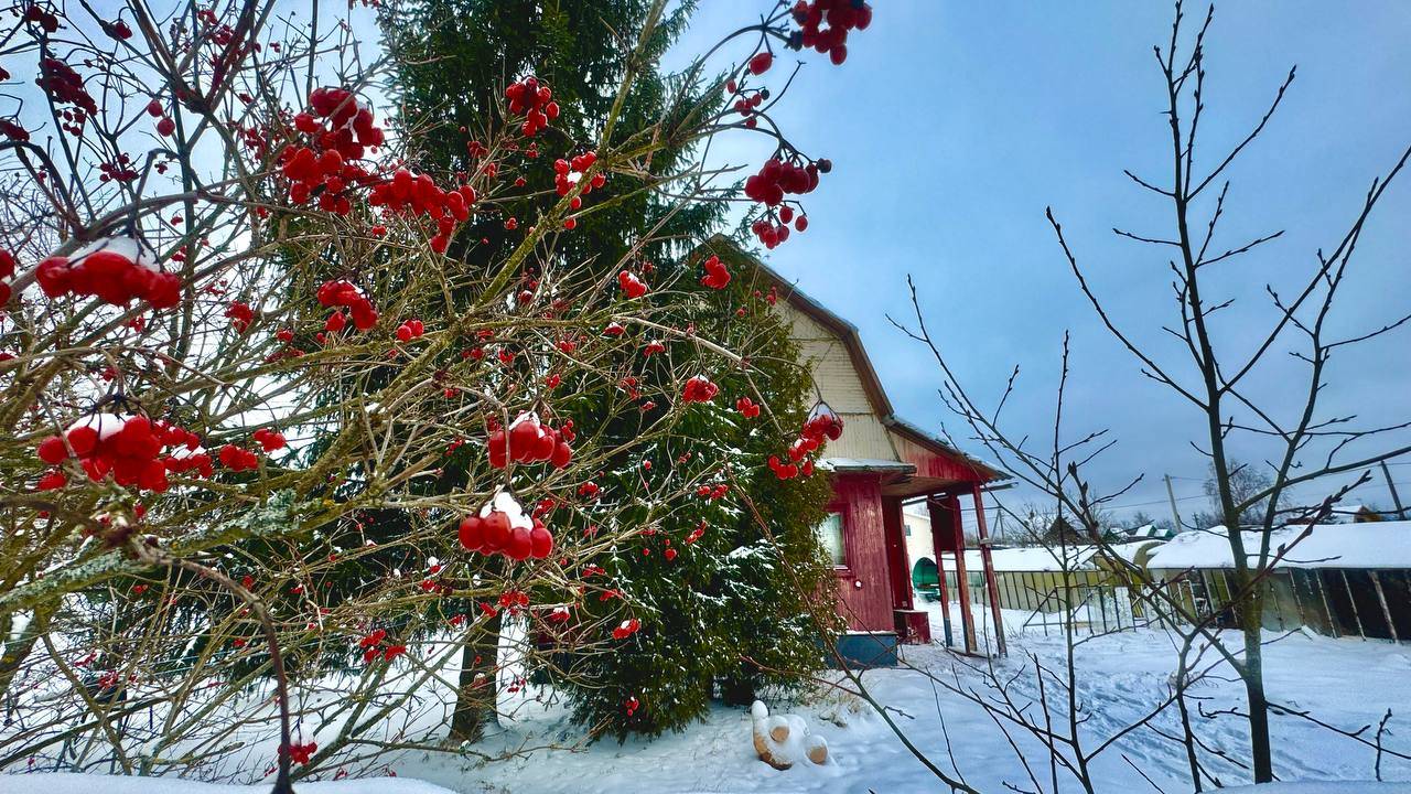 Поповка