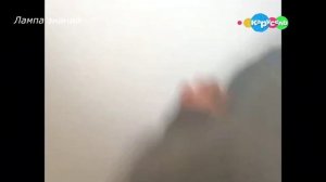 куми куми вырезанный фрагмент 20.05.2018 для @ПожалуйстаНеБаньМойКанал