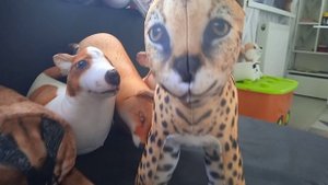 распаковка сервала #блоптоп #игрушки #funny #сервал #шлепа #распаковка