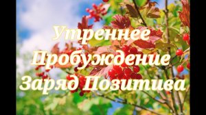 Утренее Пробуждение  Заряд Позитива