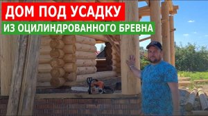 Дом из оцилиндрованного бревна 240мм. Обзор дома после двух недель стройки. Моя Усадьба.