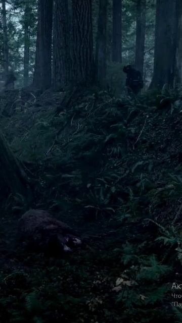 Медведь напал на человека😱 #фильмы #кино #сериал смотреть онлайн