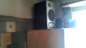 Вертячный голубь пришёл в себя
