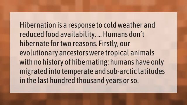 Why do bears not poop during hibernation? смотреть онлайн