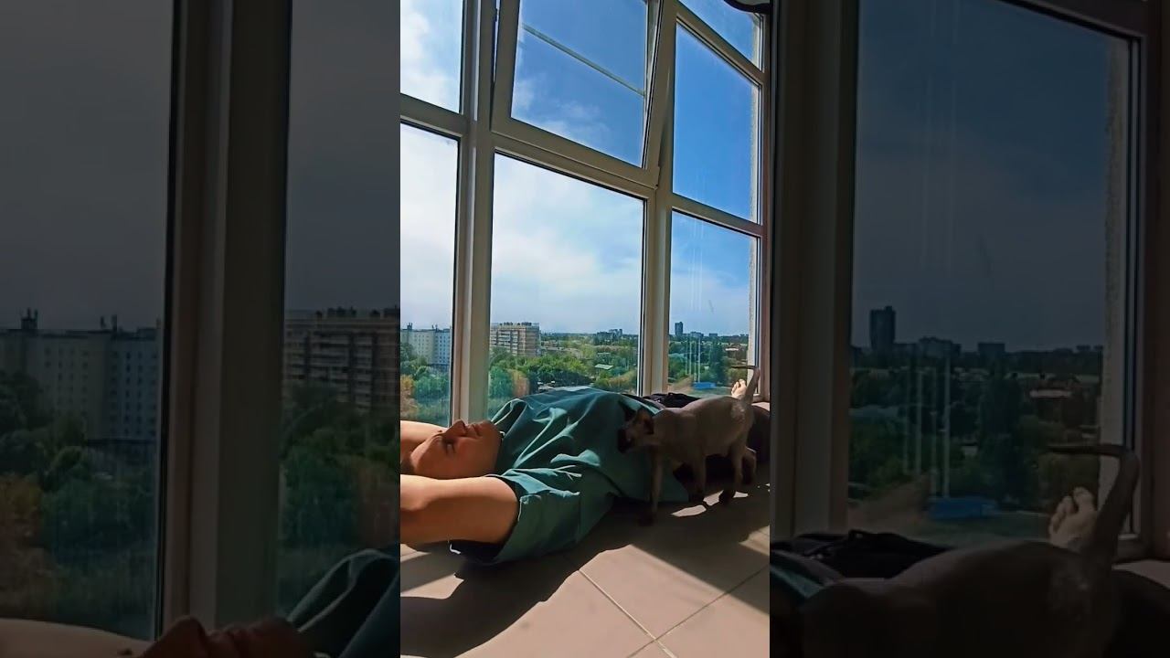 концентрация #состояние #состояниедуши #здоровье #психология #медитация