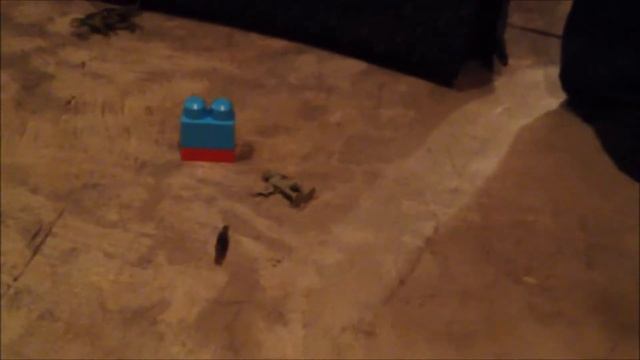 Maine Dinosaur 1961 смотреть онлайн