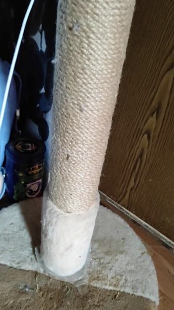 17 марта 2024 г. смотреть онлайн