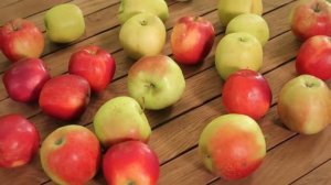 Складная садовая мебель Holzhof ковка + дуб