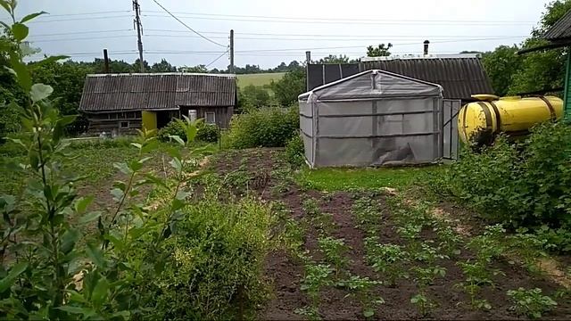 Утка ведет утят на пруд смотреть онлайн