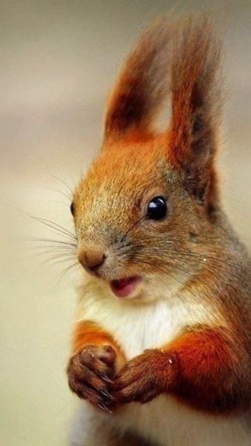 #straykids #ханни #skz #minsung #kpop #фф #рекомендации #stay #стрейкидс #army смотреть онлайн