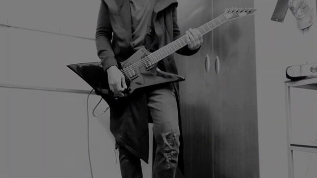 RAMMSTEIN - DALAI LAMA (Guitar Cover) смотреть онлайн