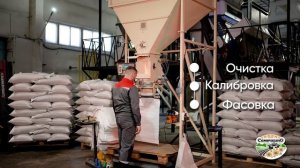 ООО Семечкино