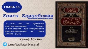 Глава 11. О том, что не приносят жертвоприношения Аллаху в тех местах, где совершаются жертвоп.mp4