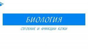 8 класс - Биология - Строение и функции кожи