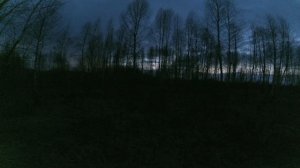 Охота на вальдшнепа в горящем лесу