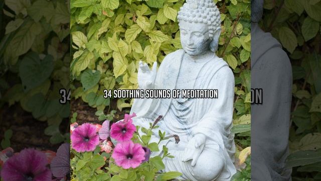 Fantasy Wonder смотреть онлайн