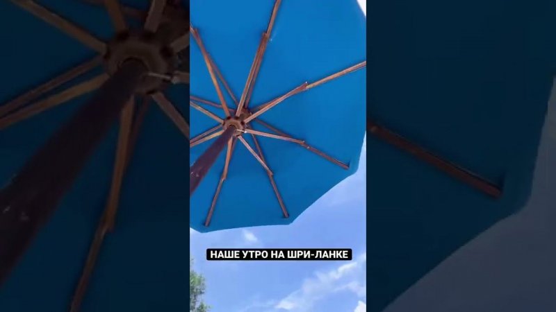 Доброе утро с Шри