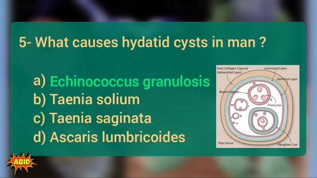 Parasitology training quiz 4 أسئلة مختبرات اختبار بيرسون فيو برومتريك أخصائي فني هيئة التخصصات смотреть онлайн