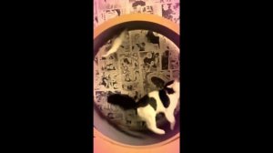 Мы с тобой, как белки в колесе!