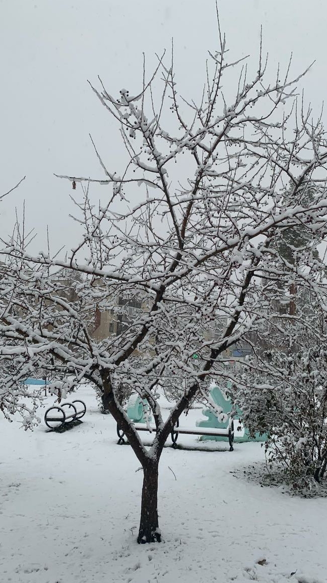 ПОШЛА В БАССЕЙН 😊